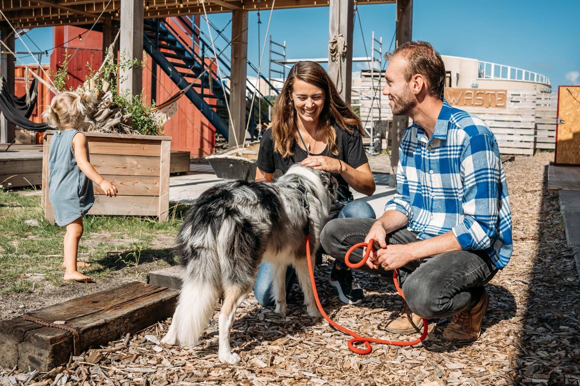 Basecamp Tiny House Eco-Resort Ijmuiden エイマイデン エクステリア 写真
